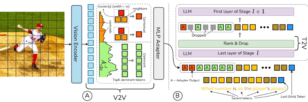 DUET-VLM pipeline